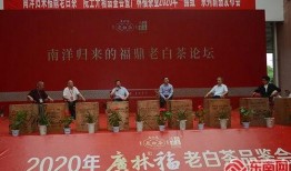 福鼎新闻爆料平台电话,揭秘背后故事，倾听民声心声