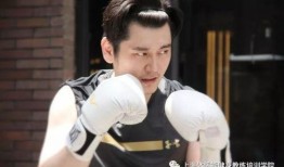 刘大锤爆料何炅视频播放,何炅视频幕后真相，播放量惊人！