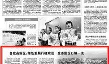 致远最新爆料新闻报道内容,揭秘重大新闻事件内幕